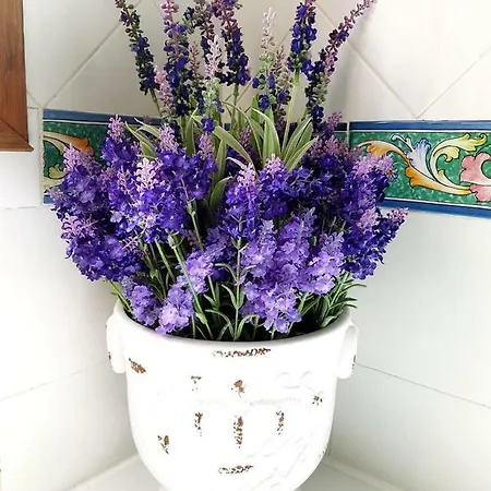 Casa Lavanda Lejlighed
