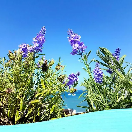 Casa Lavanda Lejlighed
